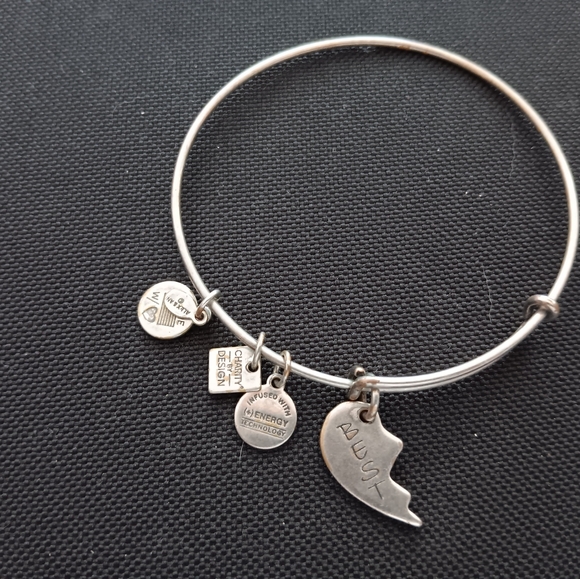 Alex and Ani Vintage Best Friends Bracelet - Picture 2 of 8